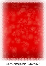 winter background with  fir branches