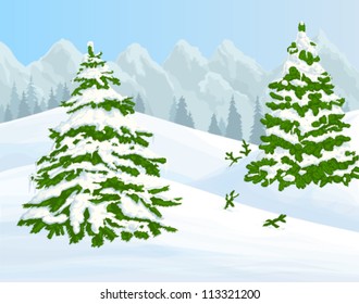 Winter background with fir trees