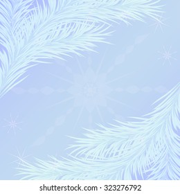 Winter background with frosted fir branches and snowflakes with place for your text in blue. Vector  eps 10. Option 2.