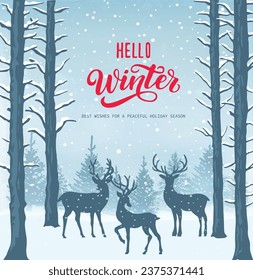 Winter background, landscape. New year and Christmas greeting card. With text
