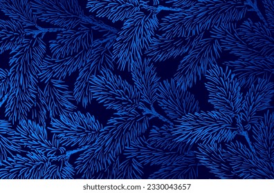 Winter background with pine branches on dark blue background. New year illustration. Winter card design.