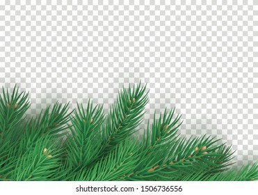 Winter background with realistic branches of christmas tree. Merry Christmas greeting card template with empty space. Green fir tree branches isolated on transparent background vector illustration.