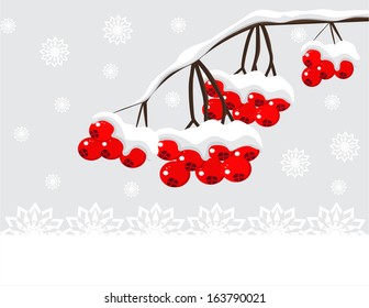 Winter background with red berries and snow