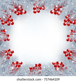 Winter background with silver color fir branches and red holly berries border. Vector illustration