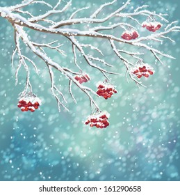 Winter background with snow-covered frozen tree branches, rowan berry, snowfall on watercolor bokeh backdrop. Snowy weather vector design. Christmas winter landscape greeting card