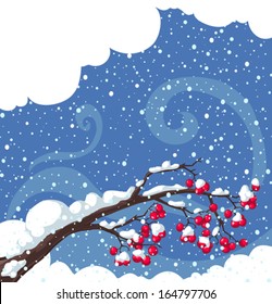 Winter background with snow-covered  tree branches, rowan berry