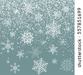 Winter background. Snowflakes