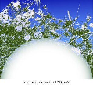 Winter background with snowy flowers