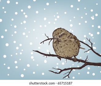 winter background with sparrow on branch