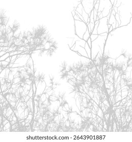 Fundo de inverno com silhuetas de árvores. ilustração de fundo de meio-tom.