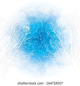 Winter background vector