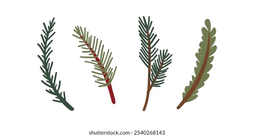 Winter berries , flower and leaves. Vector hand drawn winter elements with leaf, fir, pine branches, berry. Christmas floral collection for invitations, greeting card, textile, fabric, posters.