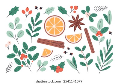 Winter berries and leaves. Holly, winterberries, eucalyptus, pine branch, mistletoe, poinsettia, cinnamon, clove spice, orange. Christmas decorations. Vector illustration in flat style