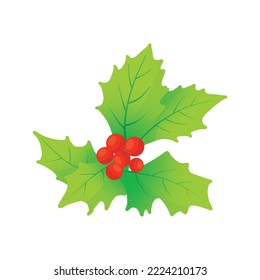Winter Berry Vector Illustration Icon Colorful