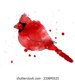 Winter bird Cardinal. Watercolors