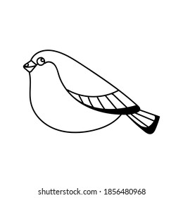winter bird doodle on the white background