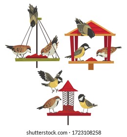 Winter Bird Feeder with Chickadees and Titmouses, Northern Birds Feeding by Seeds Vector Illustration