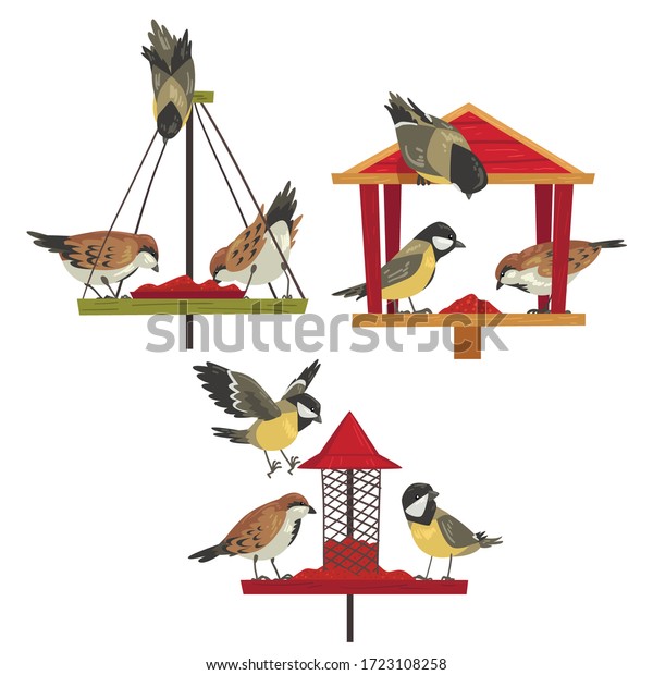 Winter Bird Feeder with\
Chickadees and Titmouses, Northern Birds Feeding by Seeds Vector\
Illustration