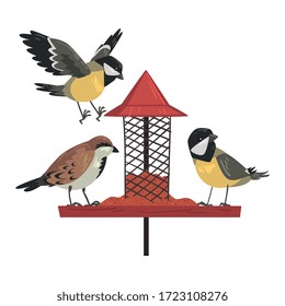 Winter Bird Feeder with Cute Titmouses and Sparrows, Northern Birds Feeding by Seeds in Wooden Feeder Vector Illustration