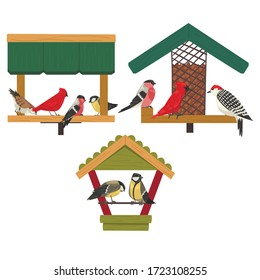 Winter Bird Feeder, Northern Birds Feeding by Seeds, Cute Red Cardinal, Chickadee, Woodpecker, Bullfinch Vector Illustration