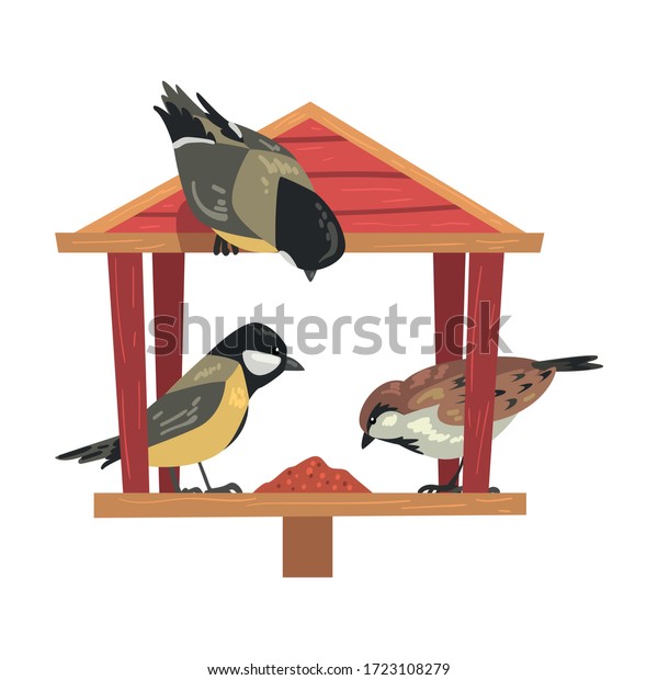 Winter Bird\
Feeder with Titmouses and Sparrows, Northern Birds Feeding by Seeds\
in Wooden Feeder Vector\
Illustration