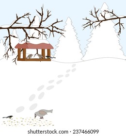 Winter bird feeders.