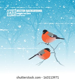 Winter birds