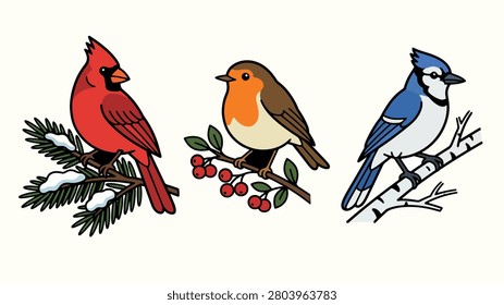 Winter birds cardinal robin and blue jay perched on snowy branches illustration