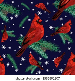 Winter birds - cardinals on fir-tree branches with pine cons and snowflakes