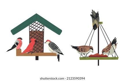 Winter Birds Feeding by Seeds and Grains Poured on Birdfeeder or Bird Table Vector Set