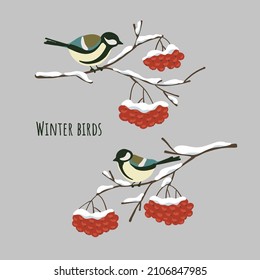 Winter birds great tits sitting on snow-covered branches of mountain ash. Flat simple stain style