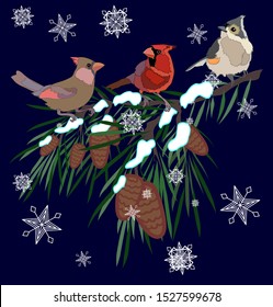 Winter birds on pine tree branch illustration pine cones in snow cardinal titmouse snowflakes Christmas vector set