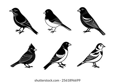 Winter Birds Silhouette vector  Bundle