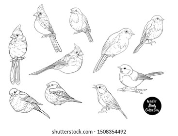 Winter birds: Tit bird, Robin bird, Cardinal bird, Bullfinch. Set of elements for design. Outline hand drawing vector illustration.