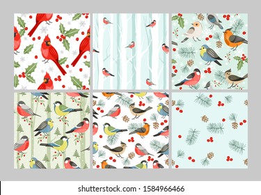 Winter birds vector seamless patterns set. Cold season songbirds cartoon illustrations. Red cardinal, Christmas symbol with mistletoe leaves and berries. Decorative Xmas time wrapping paper design.