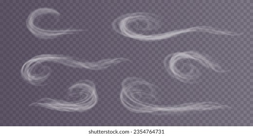 Winter blizzard. Illustration. Light, dust, winter, blizzard, Christmas, vector. The effect of a winter storm, snowfall, ice.