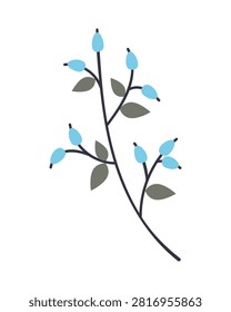 Winter blue berry branch vector illustration with frost leaves isolated on white background for minimalist christmas greeting card graphic design and holiday seasonal wrapping paper.