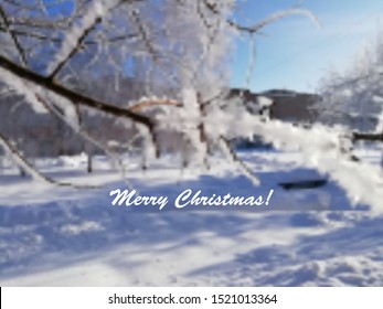 Winter blurred background with 
trees in the snow and blur landscape. Copyspace for text. Realistic vector blurred winter landscape background. Vector illusrtation. Christmas background