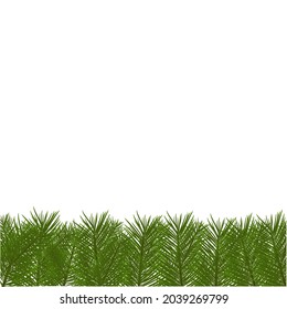 Winter border with realistic branches of Christmas tree element for festive design isolated on transparent background Vector illustration 