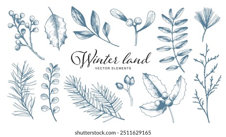 Winter botanical elements set with hand-drawn branches, leaves, and berries. Vintage-style vector illustration. Winter holiday design for greeting cards, invitations, and posters.