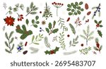 Winter botanical illustrations showcasing various plants, leaves, and holiday elements for seasonal decoration and design