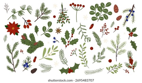 Winter botanical illustrations showcasing various plants, leaves, and holiday elements for seasonal decoration and design