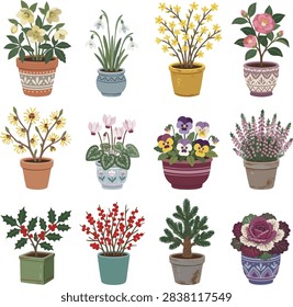 Winter botanical potted plants vector set featuring hellebore, snowdrops, camellia, cyclamen, pansy, heather, holly berries, winterberry, pine tree, and ornamental kale in decorative pots isolated on white background. Flat Christmas flora vector illustration.
