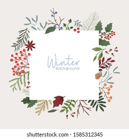 Winter botanical vector background. Xmas color backdrop with text space. Mistletoe, juniper, pine cones and coniferous branches composition. Border, square banner template with place for text.