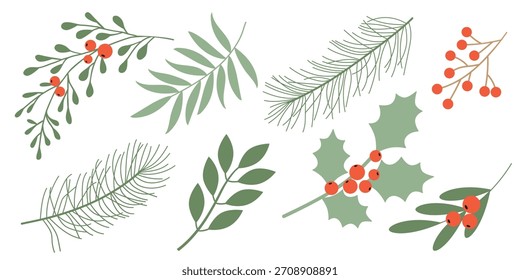Winter botanical vector illustration with green branches and berries. Design for greeting cards, packaging, fabric, and scrapbooking.