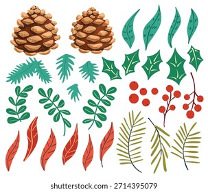 Conjunto de Ilustración vectorial botánica de invierno. Conos de pino del bosque y verdor estacional aislados sobre fondo blanco. Hojas de acebo y bayas rojas, ramitas, hojas de verde azulado y rojo para tarjetas de temporada, corona