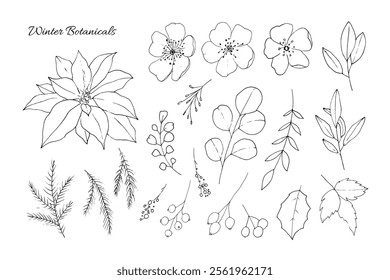 Winter Botanical Vector Set in Black and White