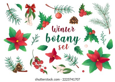 Winter botany in cartoon style set isolated elements. Vector illustration