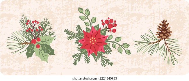 Winter bouquet collection. Christmas vector botanical illustration. Floral arrangement