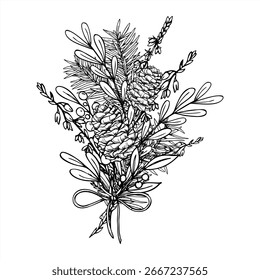 Vector monocromo de ramo de invierno pintado con tintas negras. Rama de cedro, conos, brezo, dibujo gráfico de la planta de la baya. Dibujo de grabado de ramitas perennes decorativas para decoración de Navidades, diseño escandinavo.